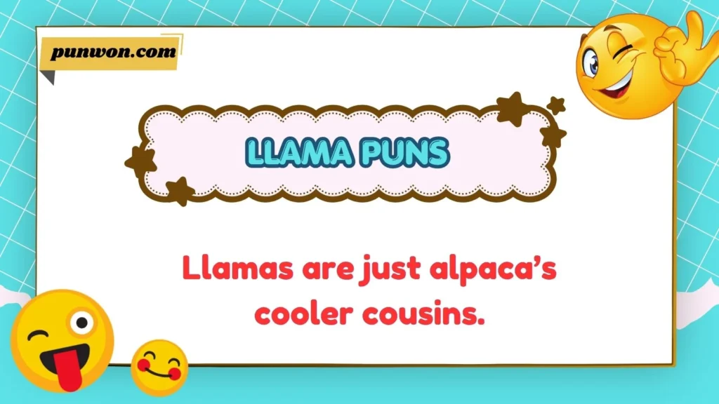 Llama Puns
