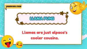Llama Puns
