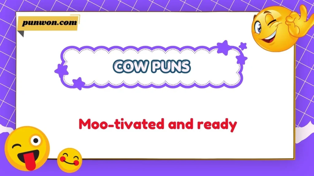Cow puns moo