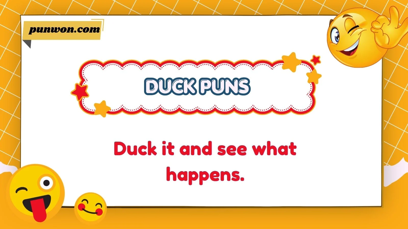 Funny Duck Puns and Captions