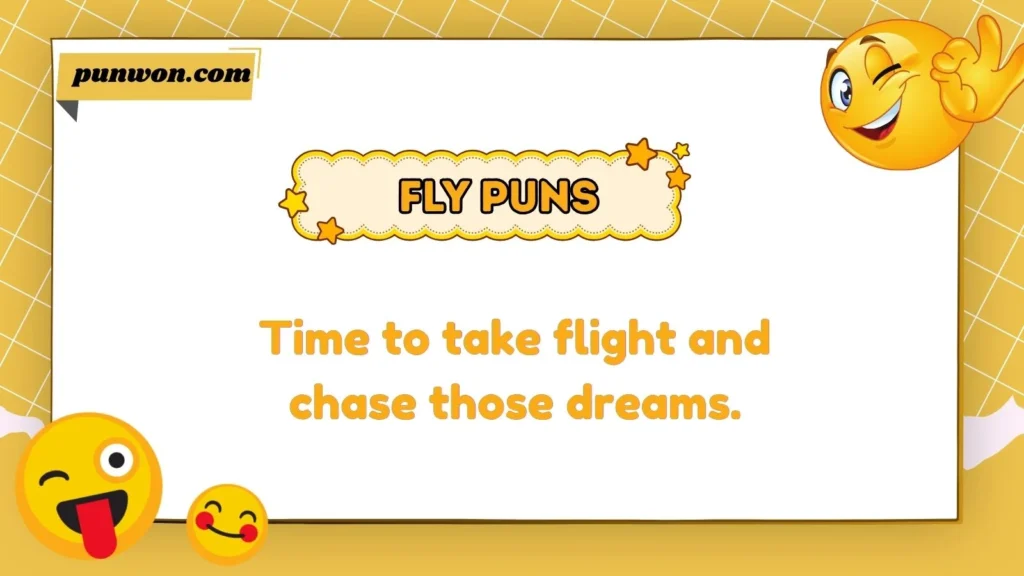 Fly Puns