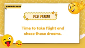 Fly Puns