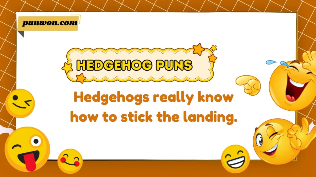 Hedgehog Puns