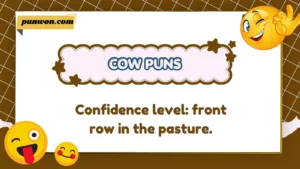 Cow Puns