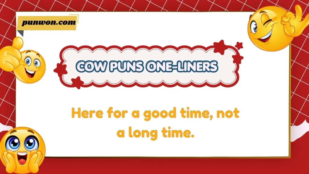 cow puns one-liners