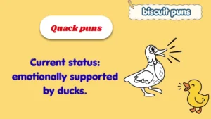 Quack puns